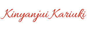 SOI Travel Group Signature