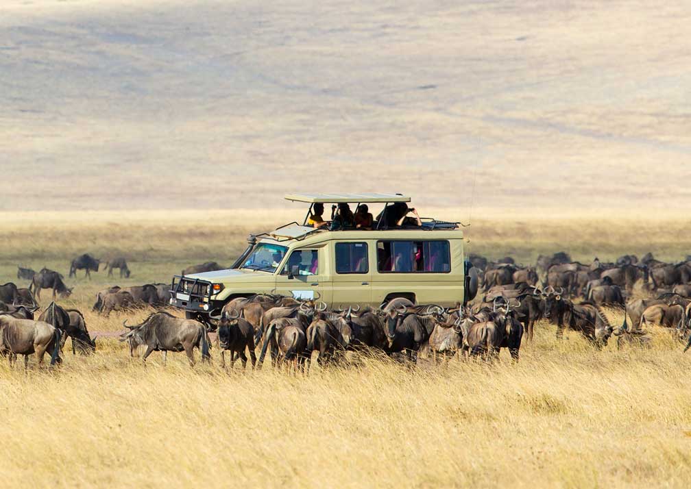 Maasai Mara National Reserve