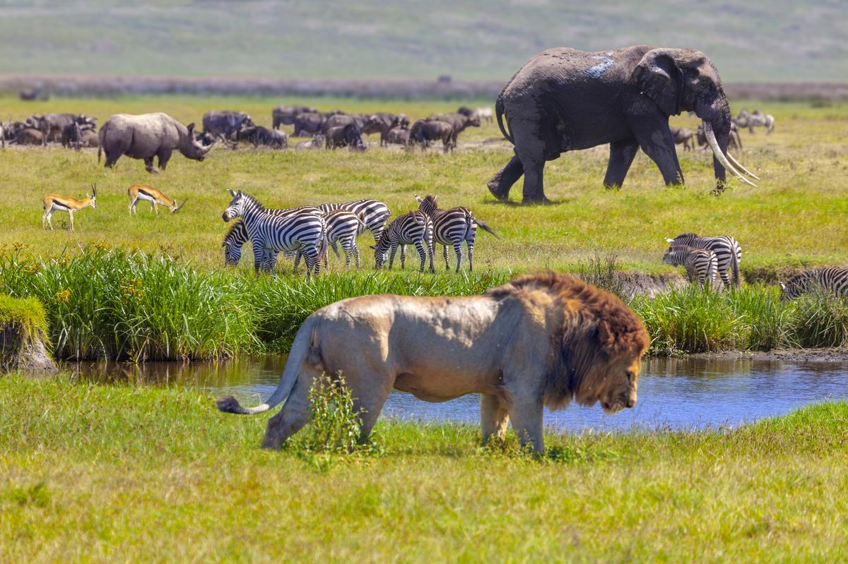 Serengeti National Park